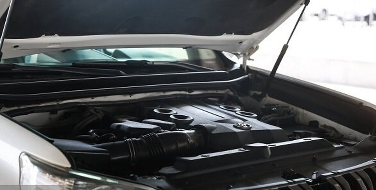 Wp Header Logo 697.png