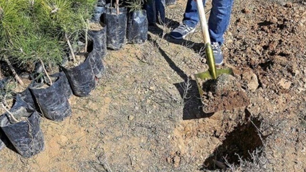 Wp Header Logo 713.png