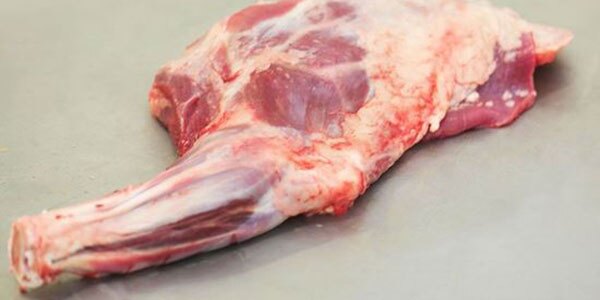 Wp Header Logo 718.png