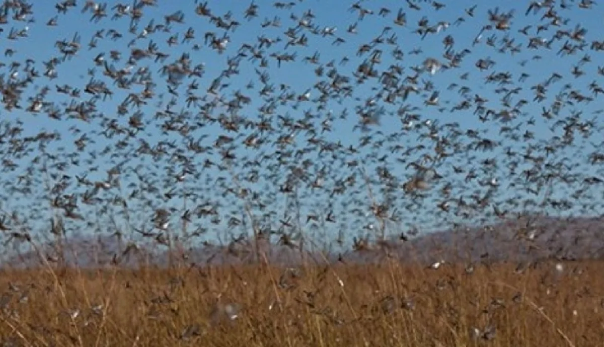 Wp Header Logo 720.png