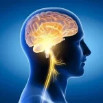 مردم هنوز مرگ مغزی را نمی‌شناسند