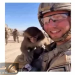 طنز حیات وحش/ کاری که این میمون با این سرباز کرد دشمن نکرده