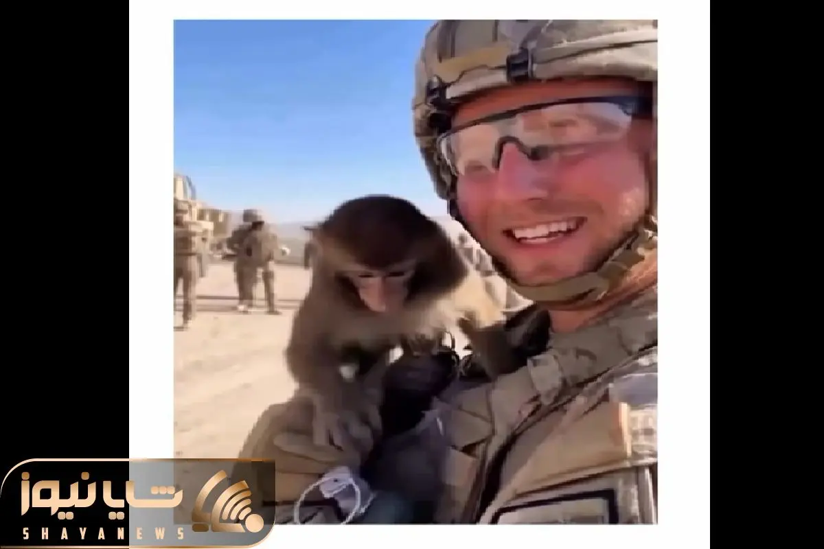 Wp Header Logo 897.png