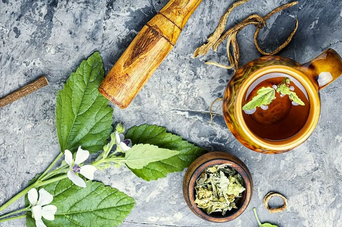 Wp Header Logo 106.png