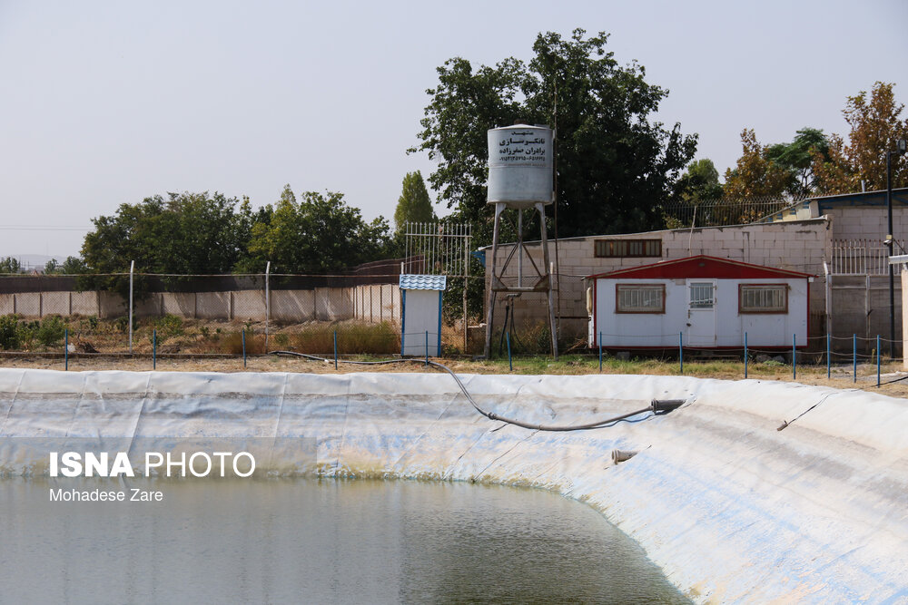 Wp Header Logo 1067.png