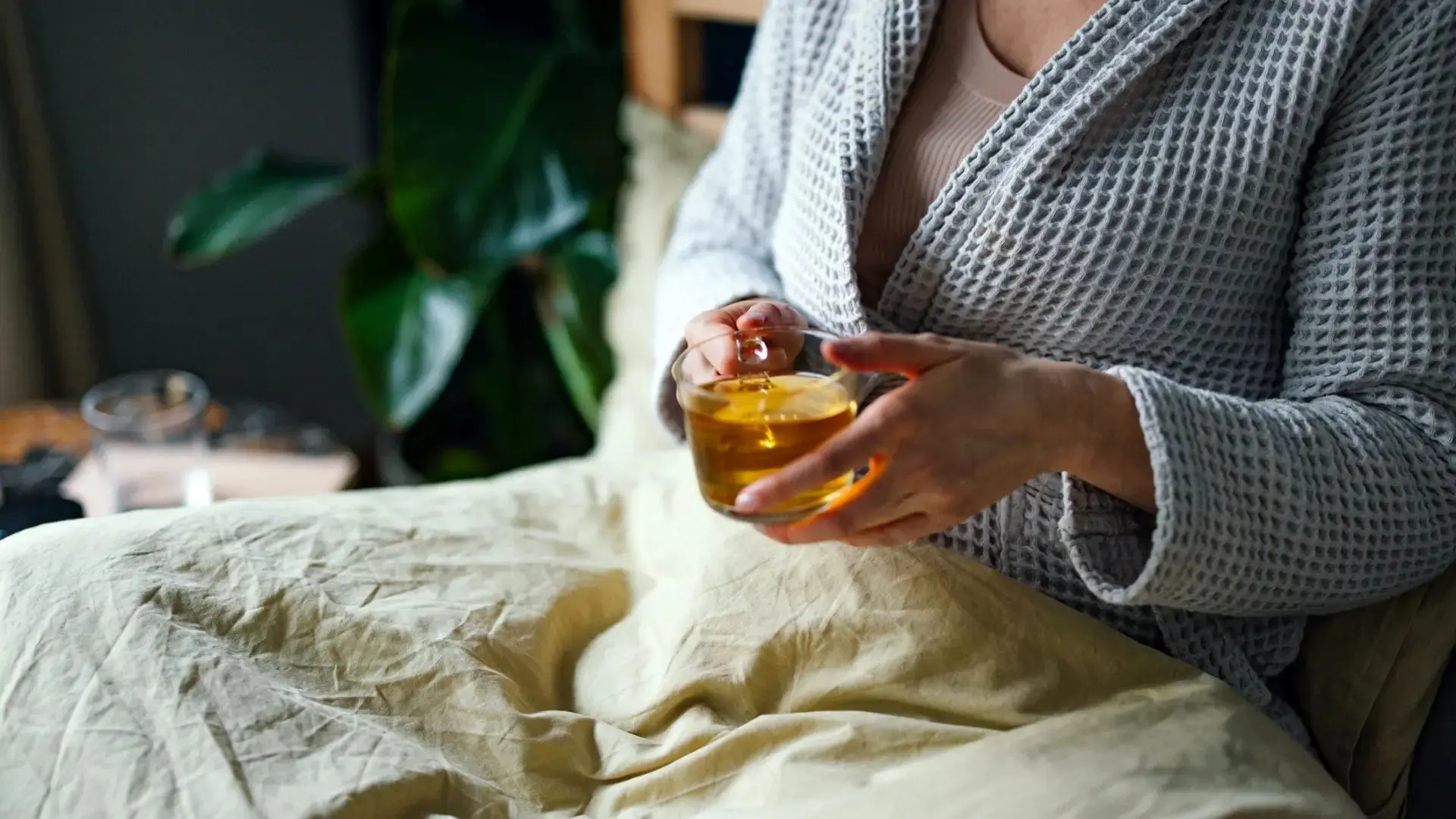 Wp Header Logo 1091.png