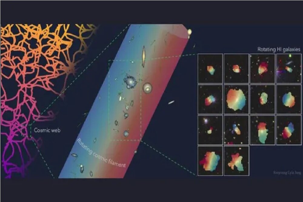 Wp Header Logo 1096.png