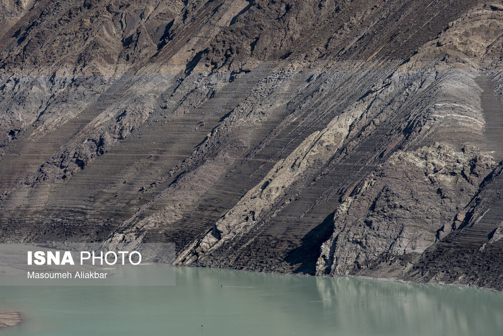 Wp Header Logo 1175.png