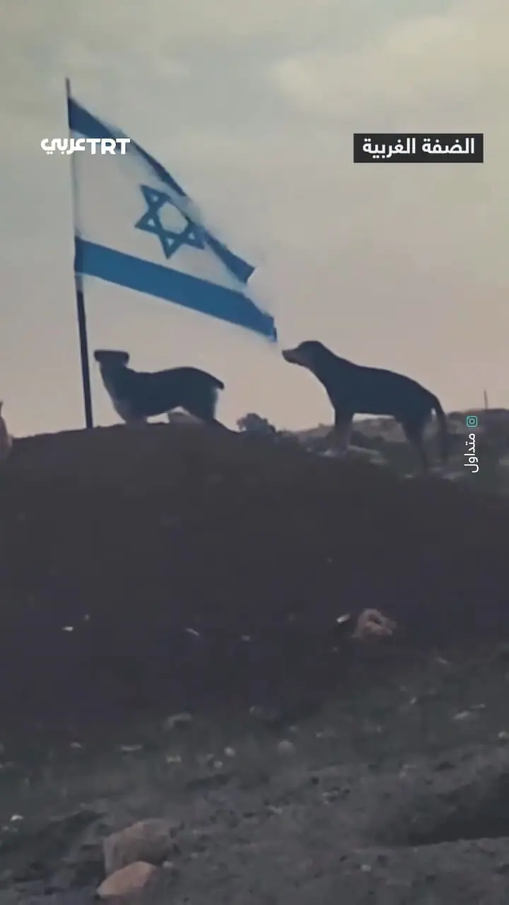 Wp Header Logo 1243.png