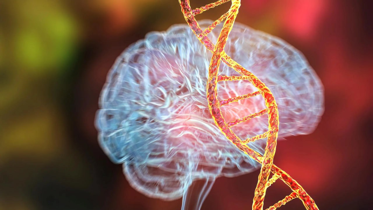 Wp Header Logo 1244.png