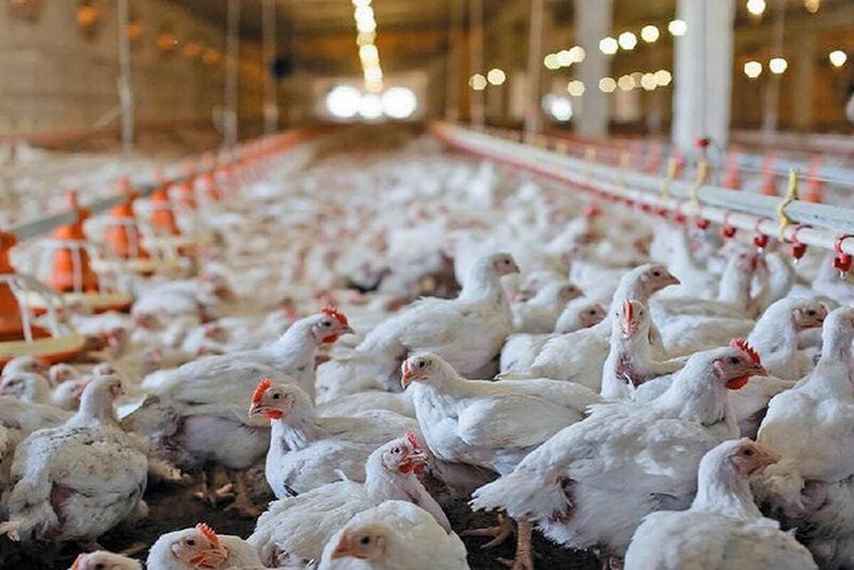 Wp Header Logo 1341.png