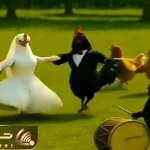 آواز شاد؛ رقص مرغا تو عروسی مرغ و خروس دیده بودین؟ ته خندس این عروسی مرغی