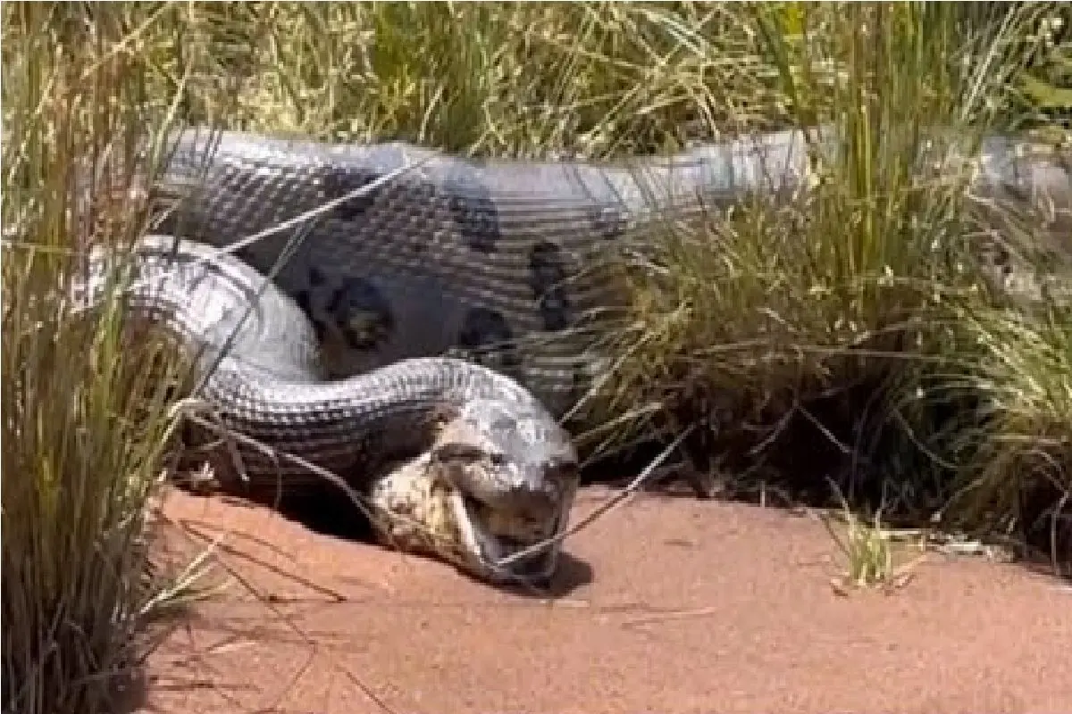 Wp Header Logo 1495.png