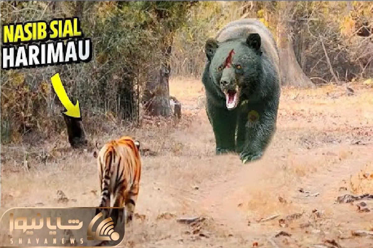 Wp Header Logo 1496.png