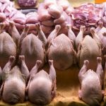 قیمت مرغ امروز شنبه ۸ آذر ۱۴۰۴