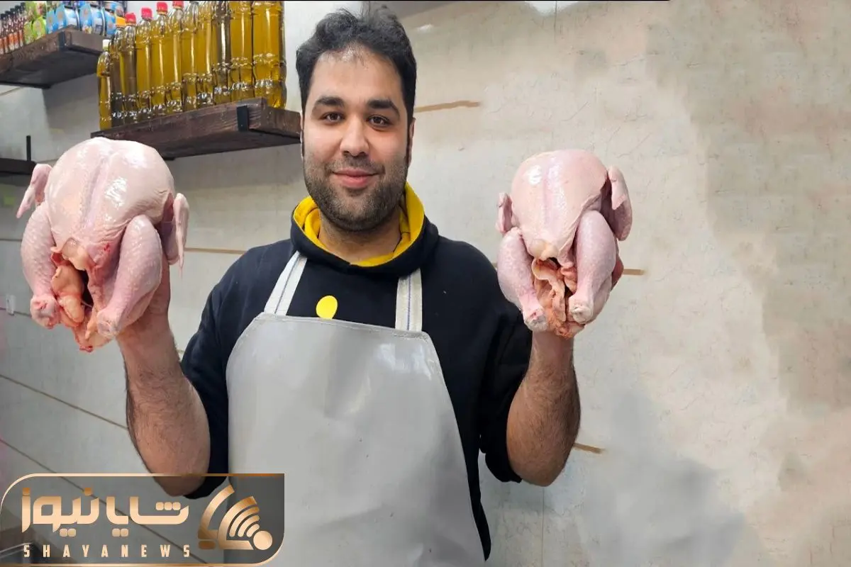 Wp Header Logo 1531.png