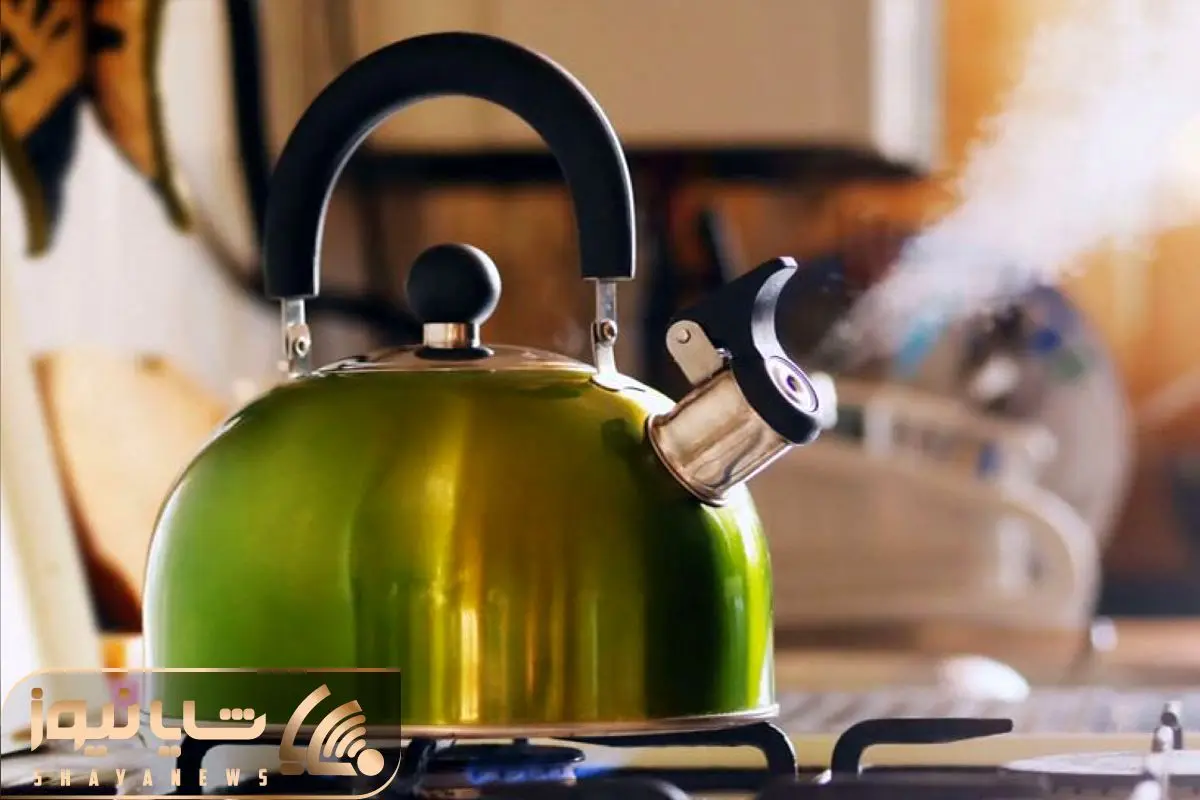 Wp Header Logo 1557.png