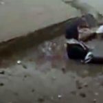 فیلم/ سقوط خطرناک یک دختر در چاله آب وسط خیابان!