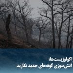 ویدیو/ هشدار اکولوژیست‌ها؛ پس از آتش‌سوزی، گونه‌های جدید نکارید