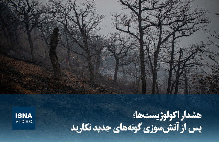 Wp Header Logo 1891.png