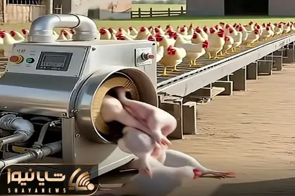 Wp Header Logo 1903.png