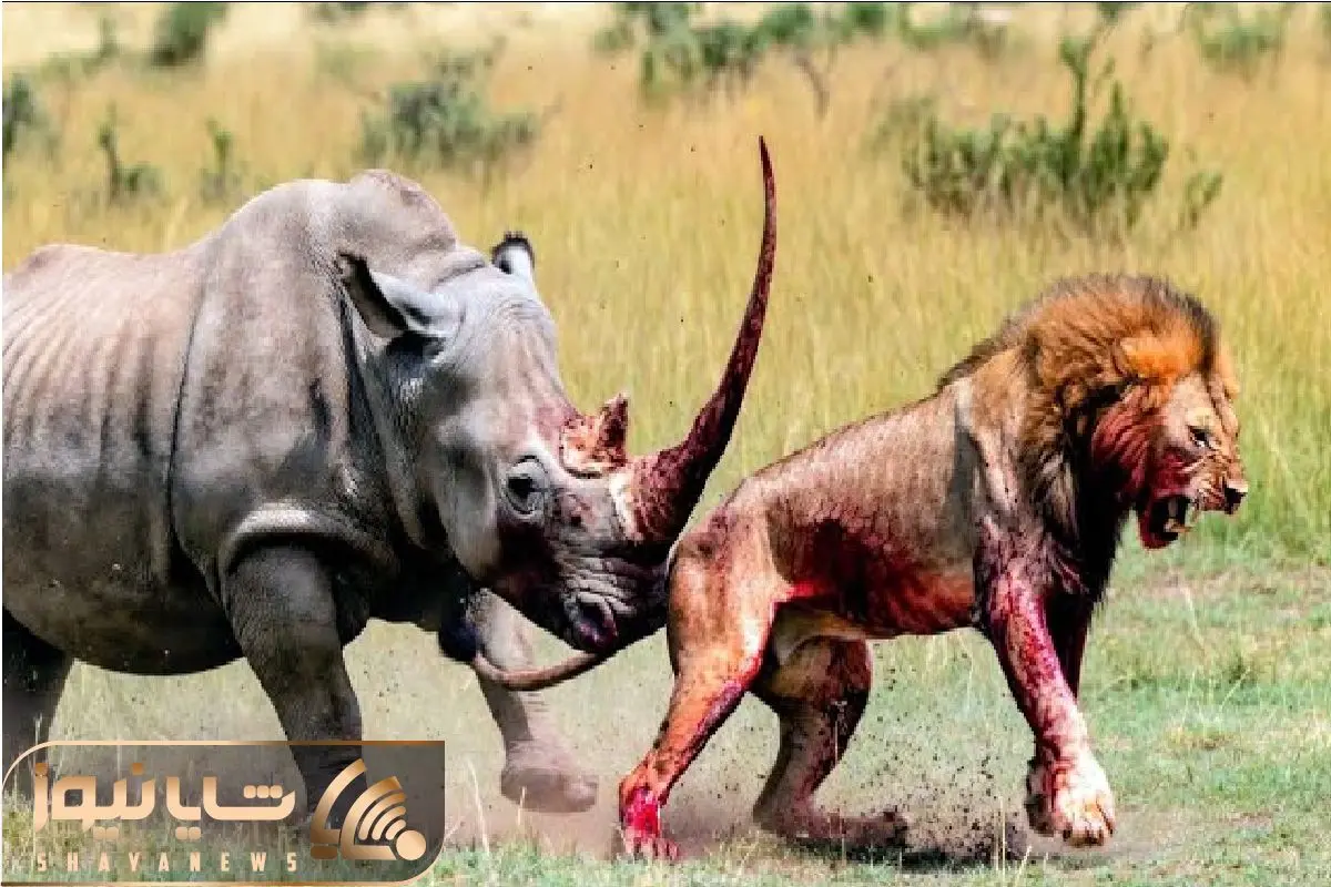 Wp Header Logo 20.png