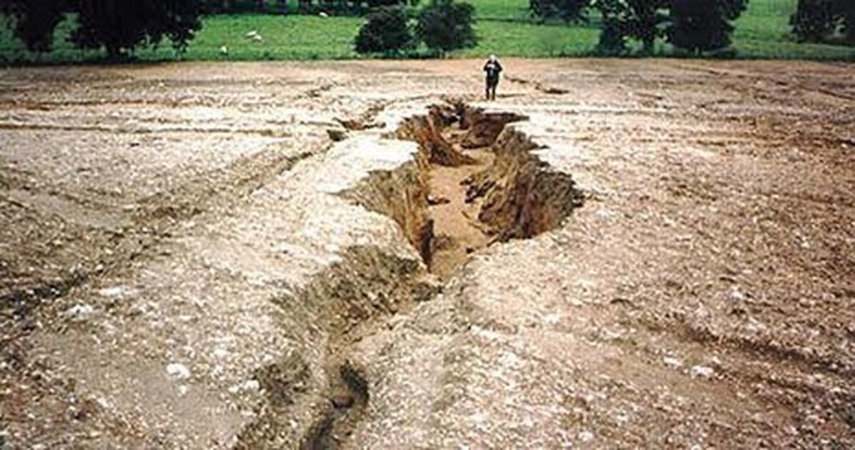 Wp Header Logo 2040.png