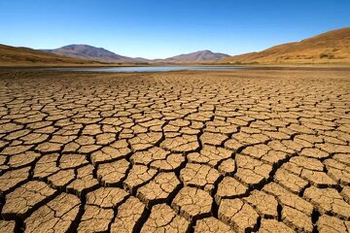 Wp Header Logo 2263.png