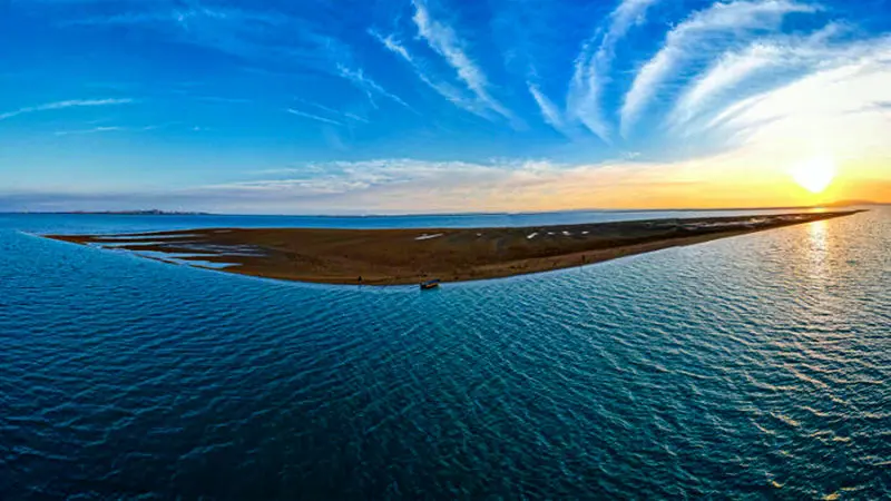 Wp Header Logo 2288.png