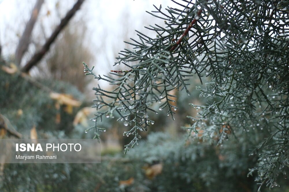 Wp Header Logo 2324.png