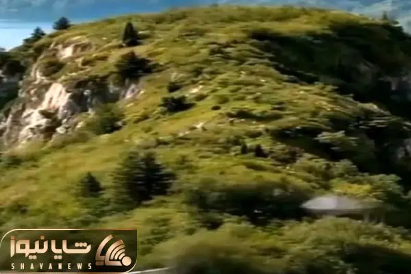 Wp Header Logo 2343.png