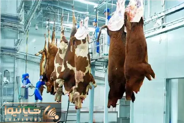 Wp Header Logo 2359.png