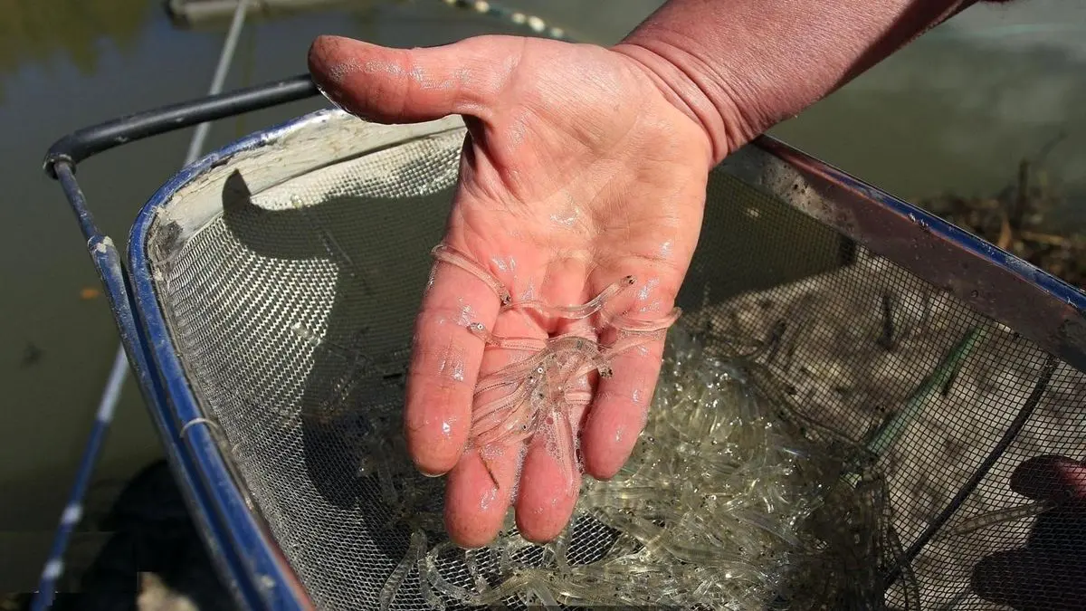 Wp Header Logo 2416.png