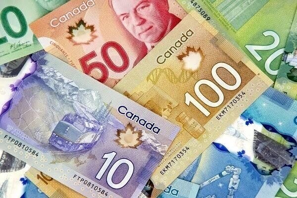 Wp Header Logo 2446.png