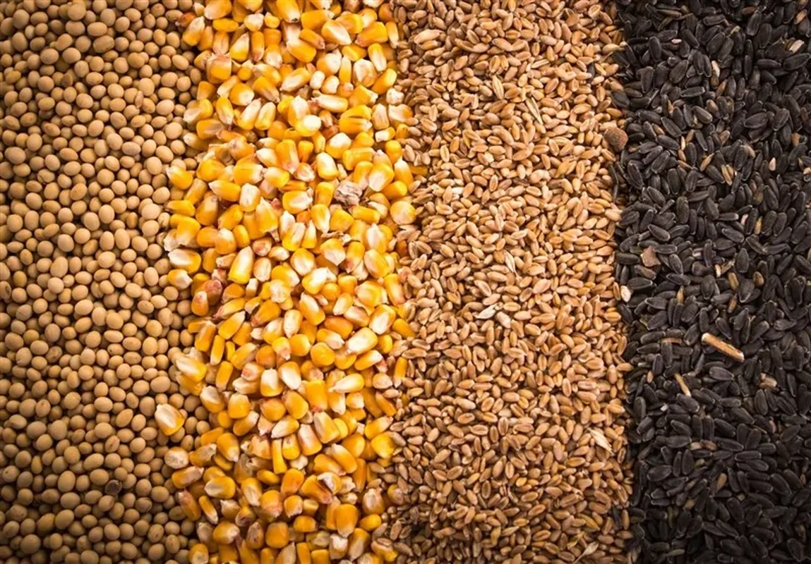 Wp Header Logo 2447.png