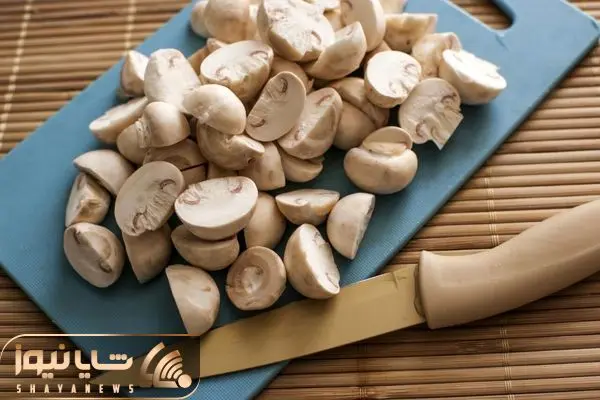 Wp Header Logo 2667.png