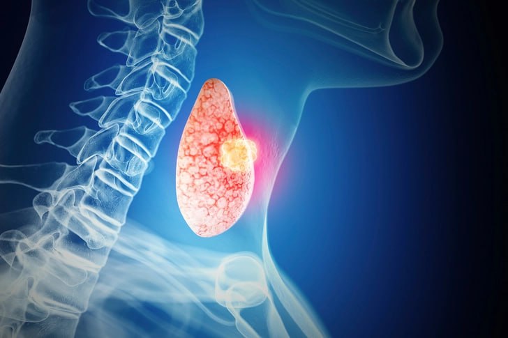 Wp Header Logo 2732.png