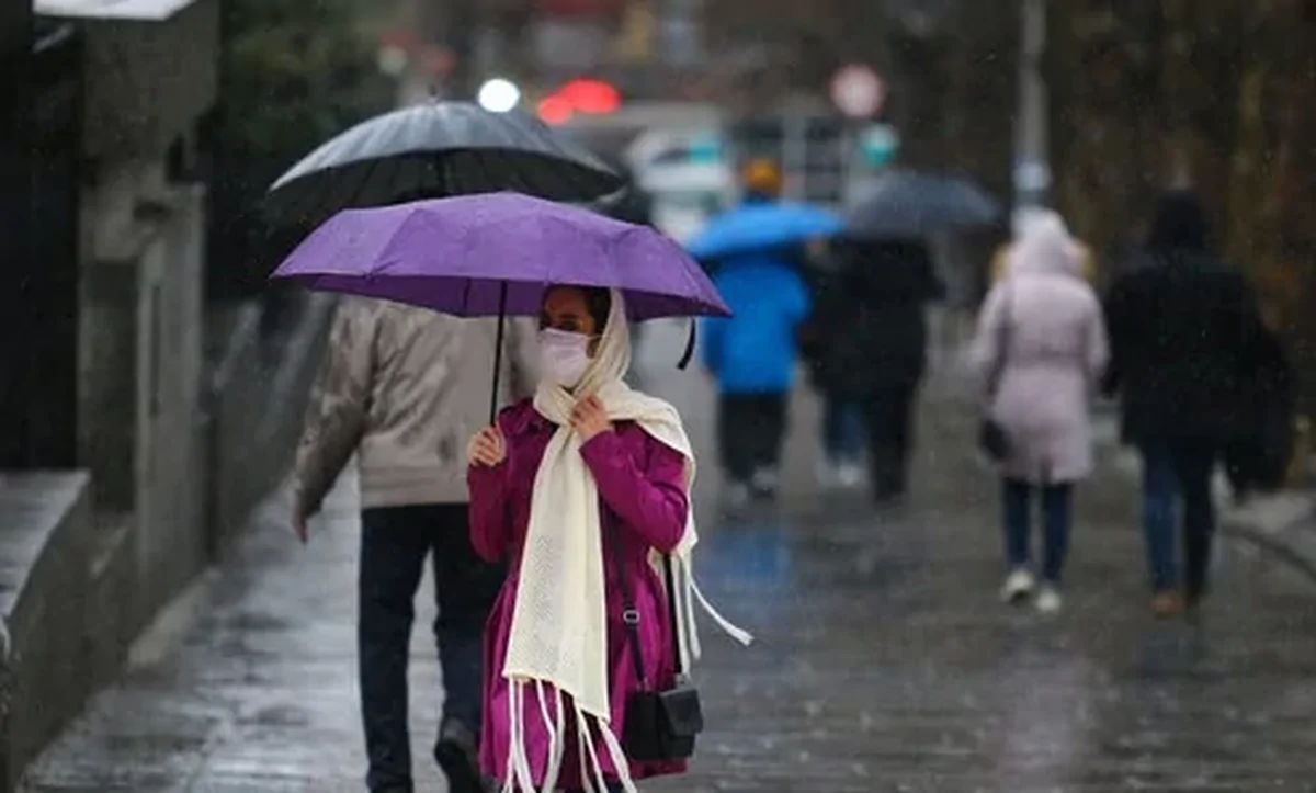 Wp Header Logo 2785.png