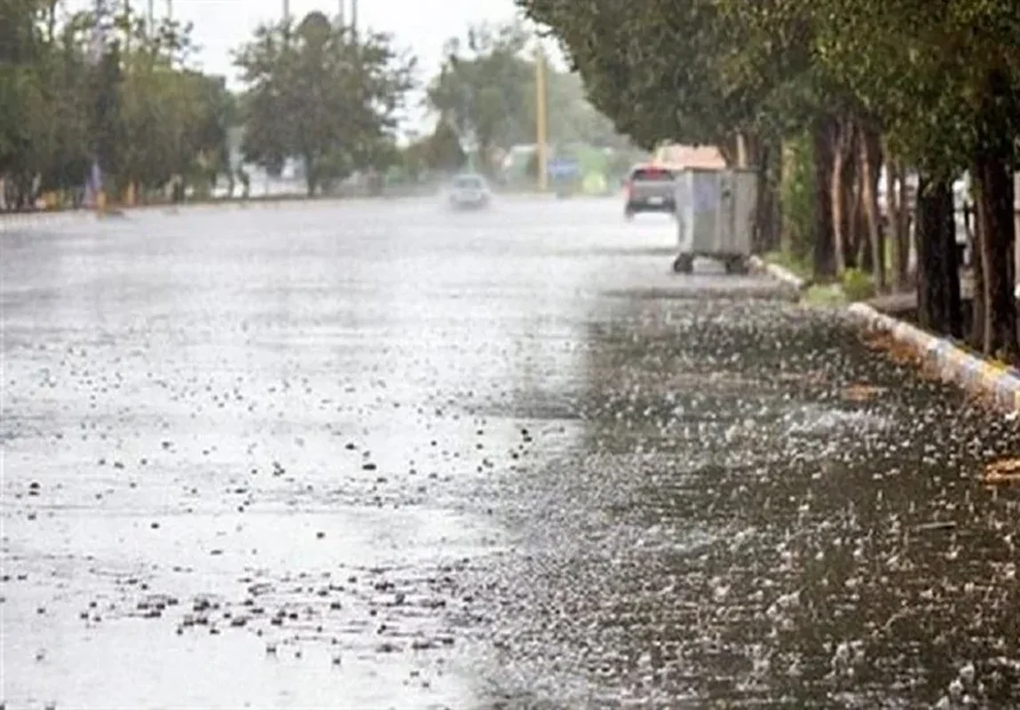 Wp Header Logo 2832.png