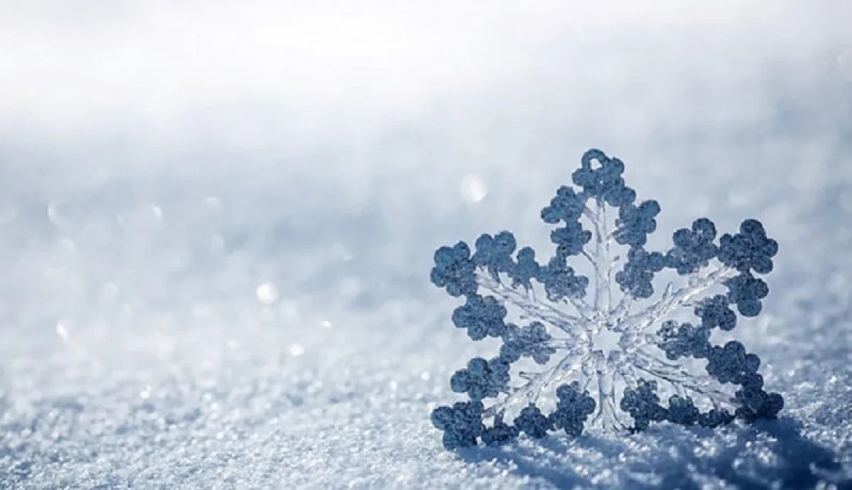 Wp Header Logo 2924.png