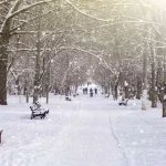 هشدار قرمز هواشناسی برای این استان‌ها صادر شد؛ بارش ها تا کی ادامه دارد؟