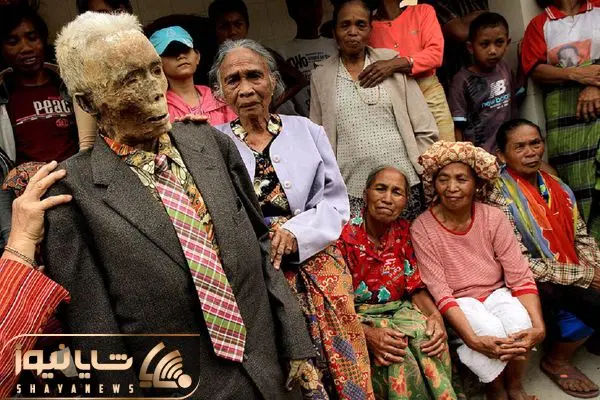 Wp Header Logo 2955.png