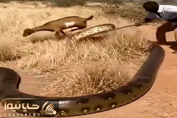 Wp Header Logo 2988.png