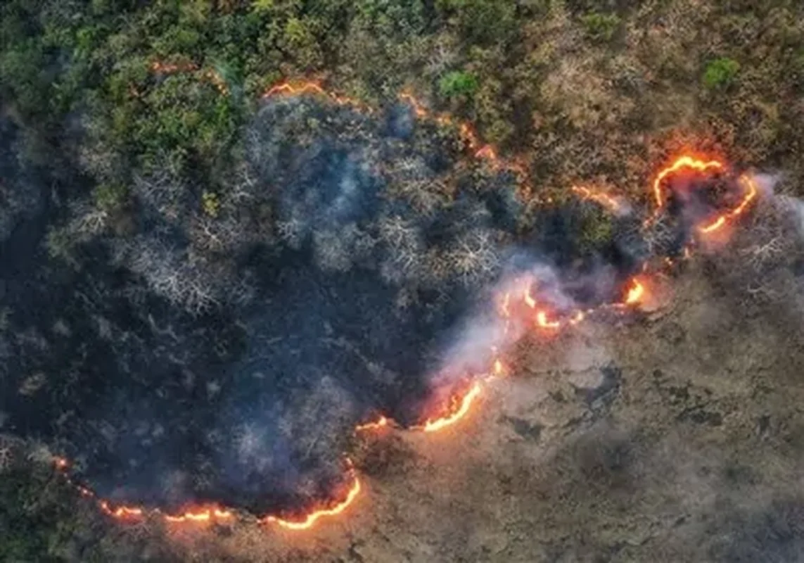 Wp Header Logo 301.png