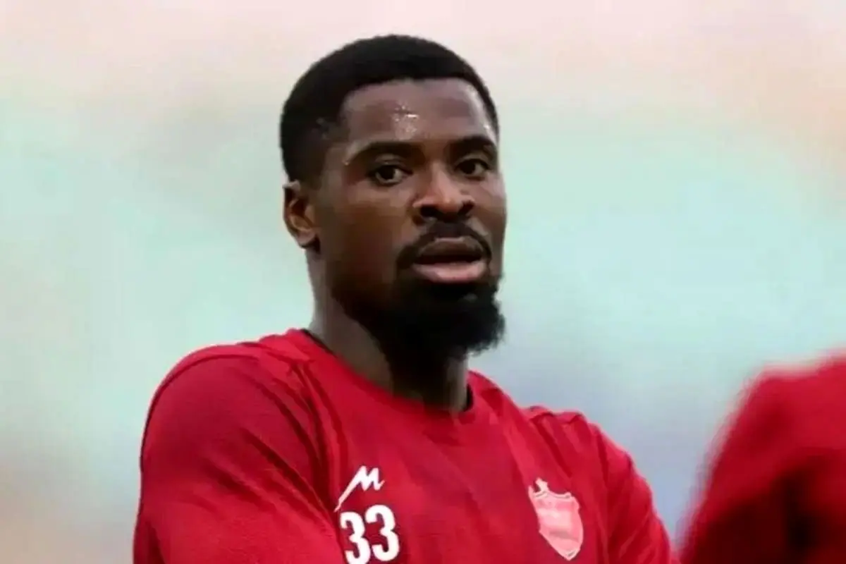 Wp Header Logo 3092.png