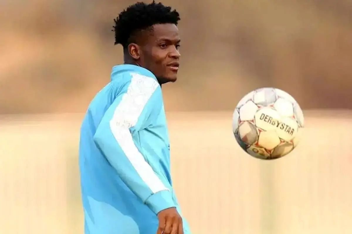 Wp Header Logo 3093.png