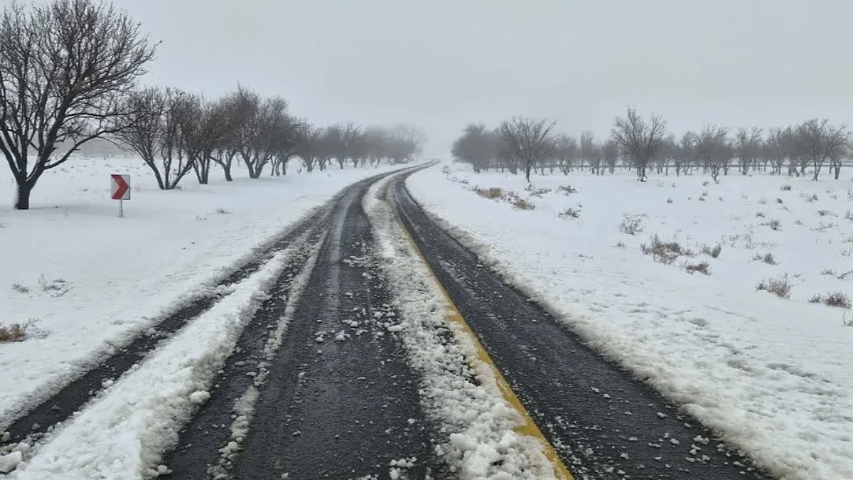 Wp Header Logo 3100.png