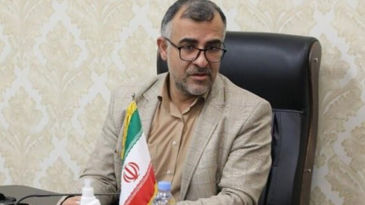 Wp Header Logo 3113.png