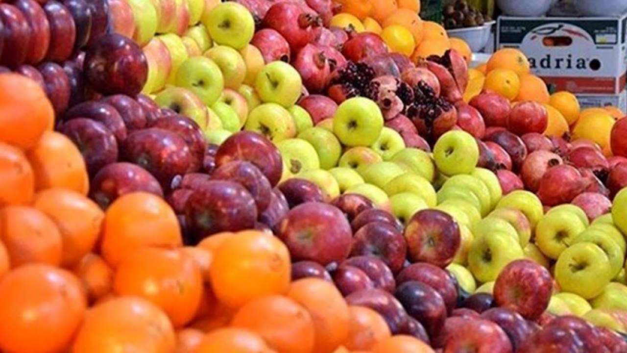 Wp Header Logo 3115.png