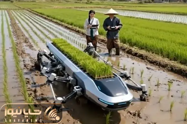 Wp Header Logo 3126.png